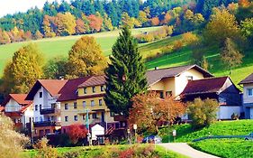 Hotel Gasthof Zur Krone Odenwald-Sterne-Hotel